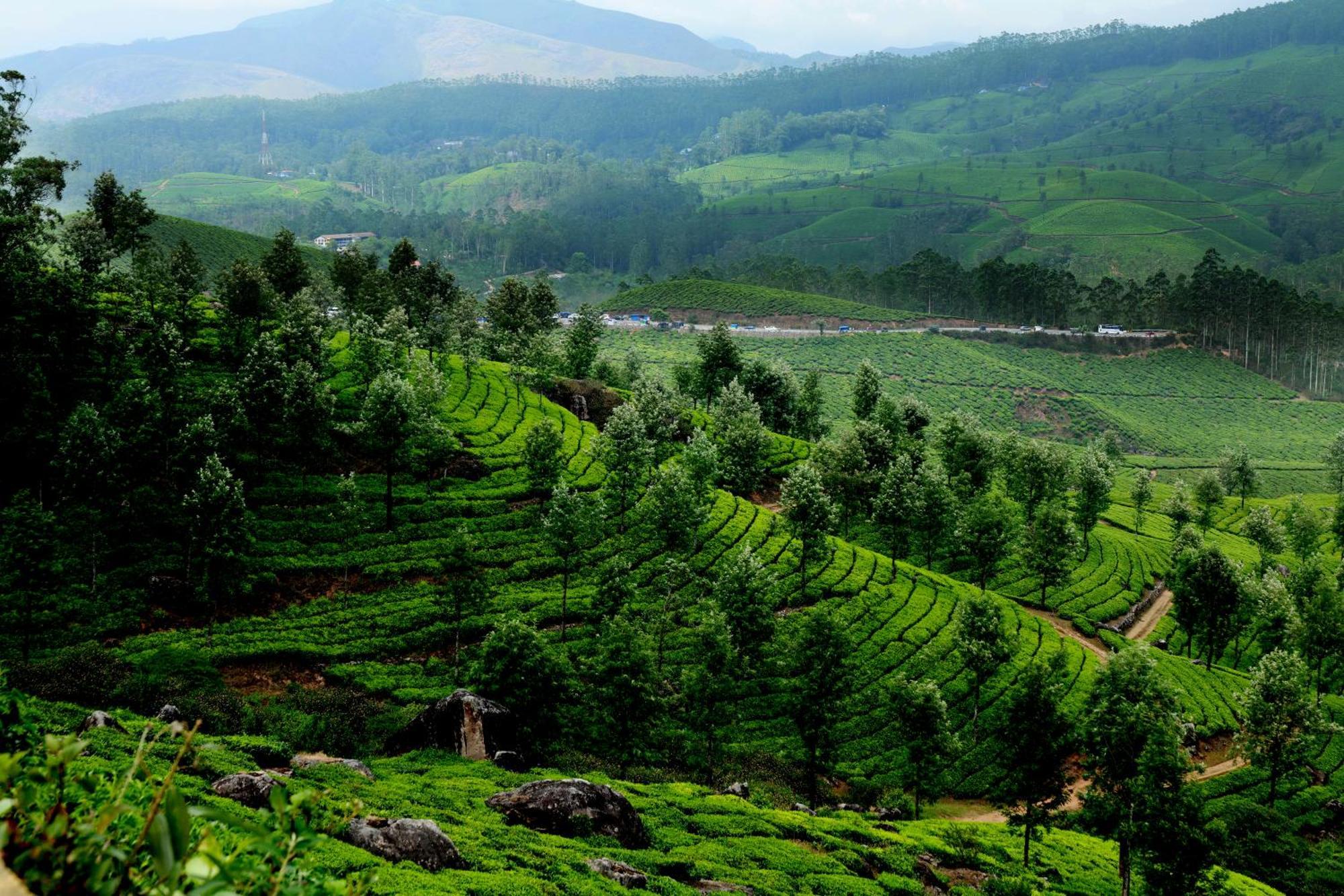 Mountain Club Resort Munnar Chinnakanal Экстерьер фото
